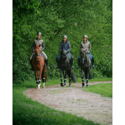 new Negro brillante new Negro brillante