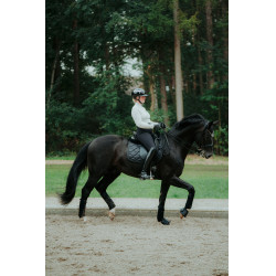 Casco de equitación Abus Airluxe Chrome L.V Negro brillante