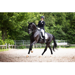 Casco de equitación Abus Airluxe Supreme Negro Casco de equitación Abus Airluxe Supreme Negro