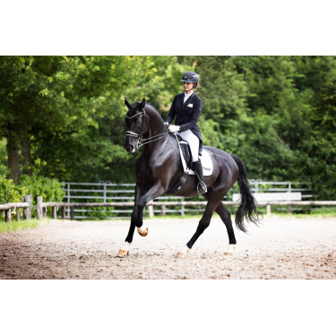 Casco de equitación Abus Airluxe Supreme Negro Casco de equitación Abus Airluxe Supreme Negro