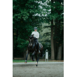 Casco de equitación Abus Airluxe Supreme Negro Casco de equitación Abus Airluxe Supreme Negro