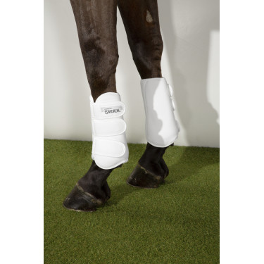 new Blanco new Blanco