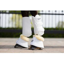 new Blanco new Blanco