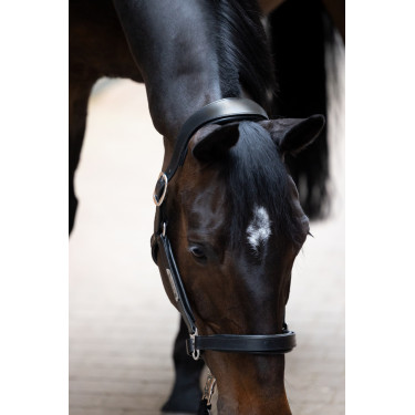 Cabezada de cuero Eskadron Stallion Cabezada de cuero Eskadron Stallion