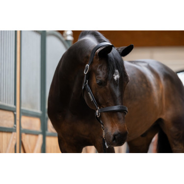 Cabezada de cuero Eskadron Stallion Cabezada de cuero Eskadron Stallion