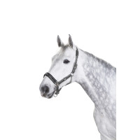 Cabezada Eskadron con hebilla Antracita / blanco / negro