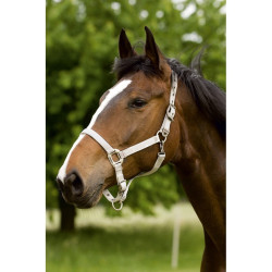 Cabezada Equi-Theme "Nylon"