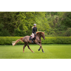 Pantalón Amia 6805 Pikeur grip en las rodillas talle medio alto mujer Gris pardo Marrón Pantalón Amia 6805 Pikeur grip en las rodillas talle medio alto mujer Gris pardo Marrón