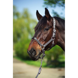 Cabezada Equi-Theme "Nylon" Cabezada Equi-Theme "Nylon"