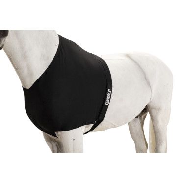 Protector de hombros Eskadron Dynair Mesh Protector de hombros Eskadron Dynair Mesh