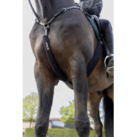 Protector de martingala Eskadron neopreno Negro