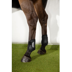 Protège-boulets Eskadron Compact postérieurs Negro Protège-boulets Eskadron Compact postérieurs Negro