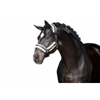 Set de Acolchado piel sintética Eskadron Stallion Banana
