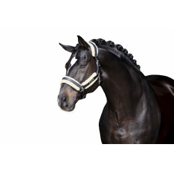 Set de Acolchado piel sintética Eskadron Stallion