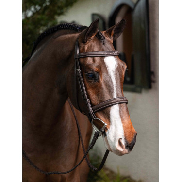 Brida Hunter con cordones LeMieux Brida Hunter con cordones LeMieux