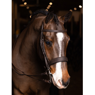 Brida plana Hunter LeMieux con riendas con cordones Brida plana Hunter LeMieux con riendas con cordones