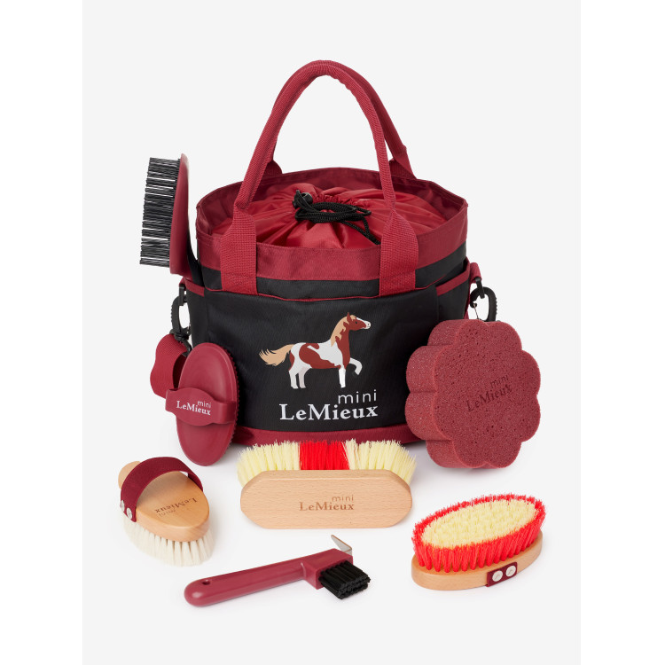 Juego de cepillos Mini LeMieux