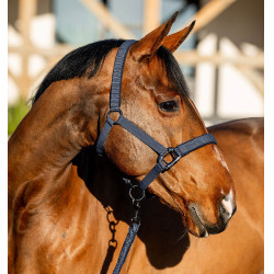 Cabezada y ramal Amigo Horseware