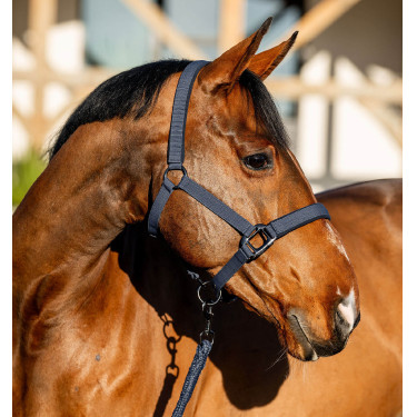 Cabezada y ramal Amigo Horseware