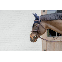 Cabezada con muserola combinada trenzada Dy'on Marrón