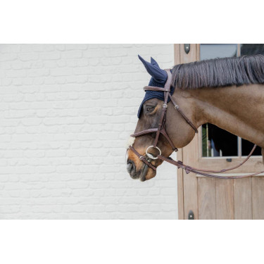 Cabezada con muserola combinada trenzada Dy'on Marrón