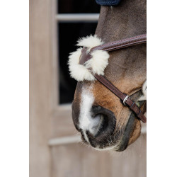 Cabezada con muserola combinada trenzada Dy'on Marrón