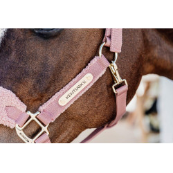 Cabezada Teddy Fleece Kentucky Rosa viejo