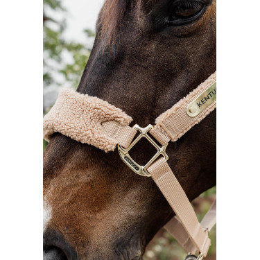 Cabezada Teddy Fleece Kentucky Cabezada Teddy Fleece Kentucky