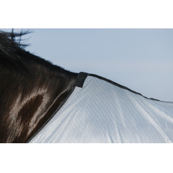 Camisa Riding World Belly Mesh Camisa Riding World Belly Mesh
