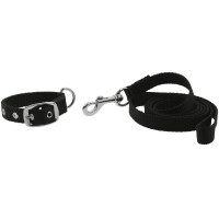 Collar y correa para perro RIDING WORLD - Oscar Negro