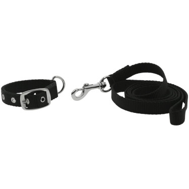 Collar y correa para perro RIDING WORLD - Oscar