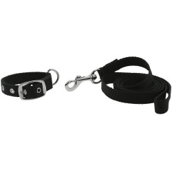 Collar y correa para perro RIDING WORLD - Oscar