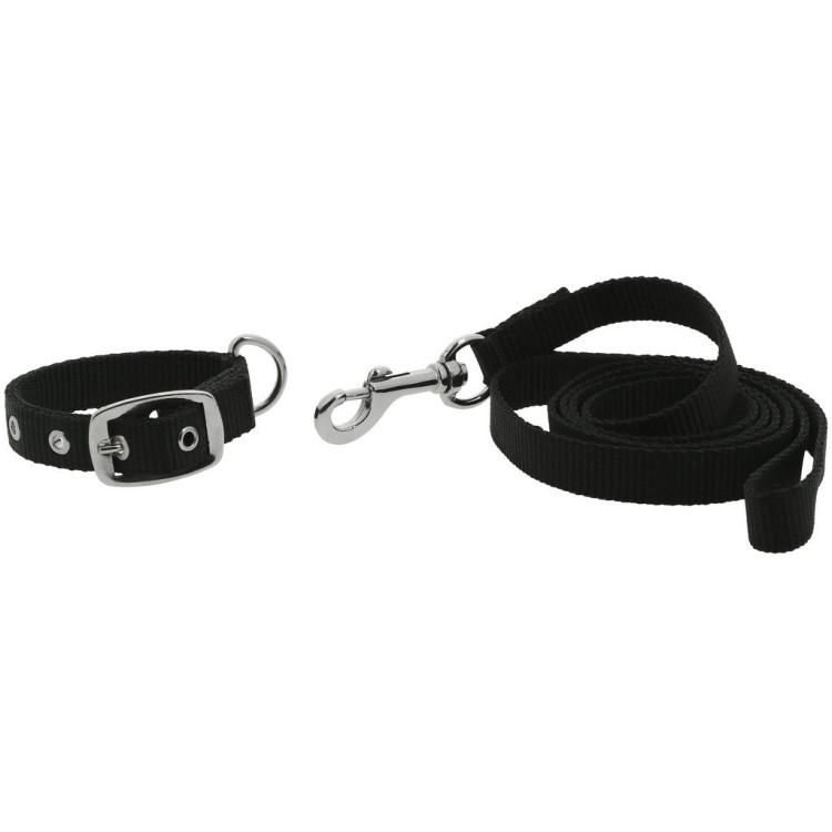 Collar y correa para perro RIDING WORLD - Oscar