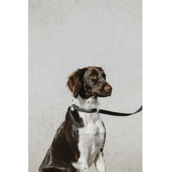 Collar para perro EQUITHÈME - Nala