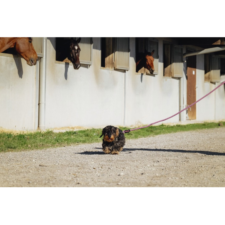 Correa para perro con asa RIDING WORLD - Lucky