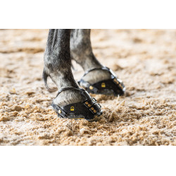 copy of Scoot Boots slim - botas para caballos copy of Scoot Boots slim - botas para caballos