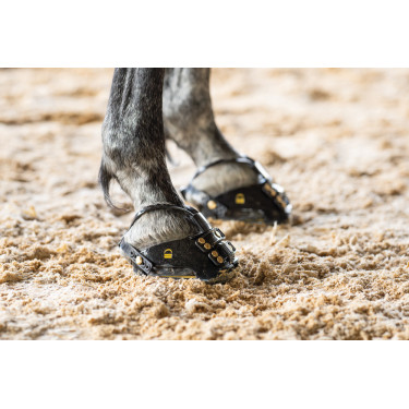 copy of Scoot Boots slim - botas para caballos copy of Scoot Boots slim - botas para caballos