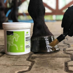 Ungüento para cascos secos Ekinat Ungüento para cascos secos Ekinat