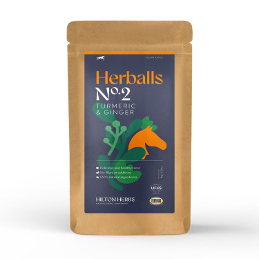 Herballs N.º 2 Cúrcuma y Jengibre Hilton Herbs