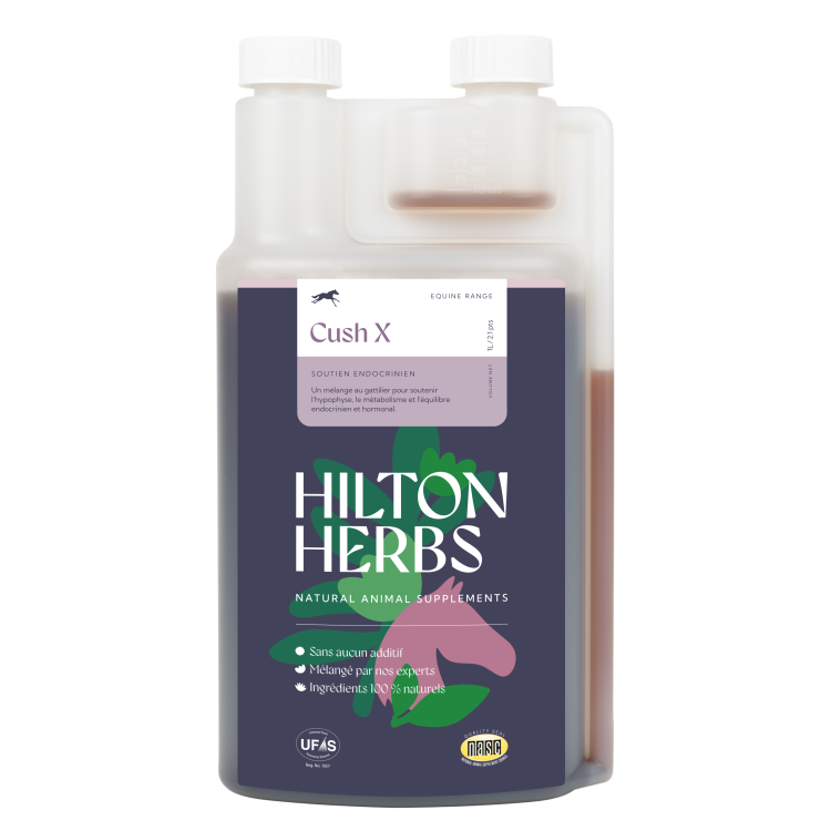 Cush X Gold Hilton Herbs Cush X Gold Hilton Herbs