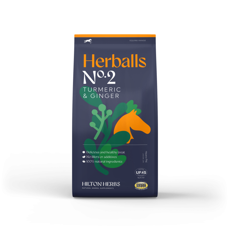 Herballs N.º 2 Cúrcuma y Jengibre Hilton Herbs