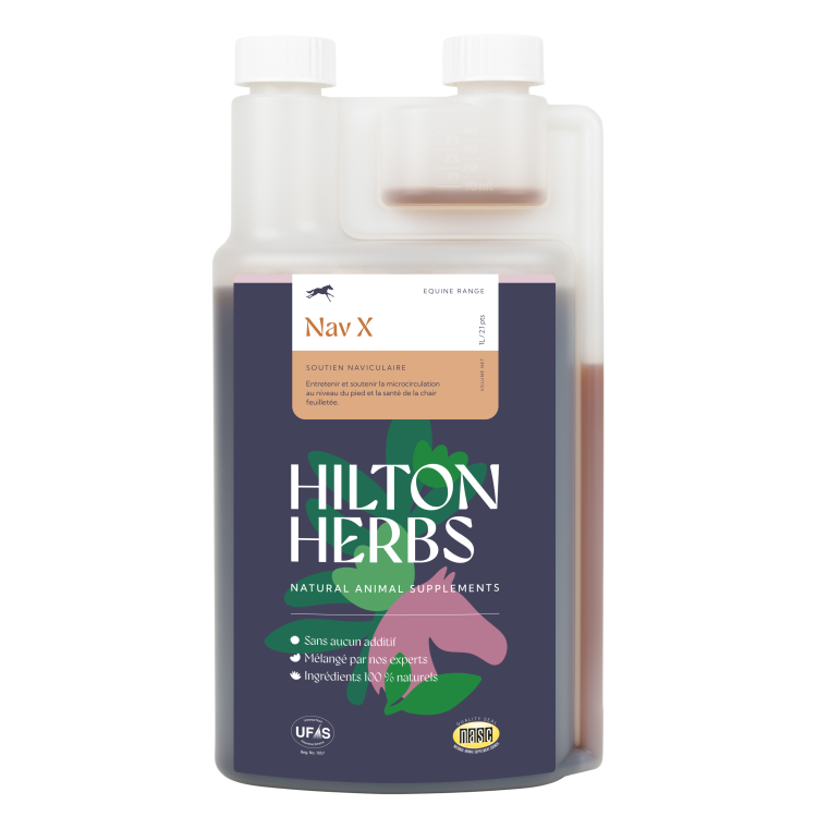 Nav X Gold Hilton Herbs Nav X Gold Hilton Herbs