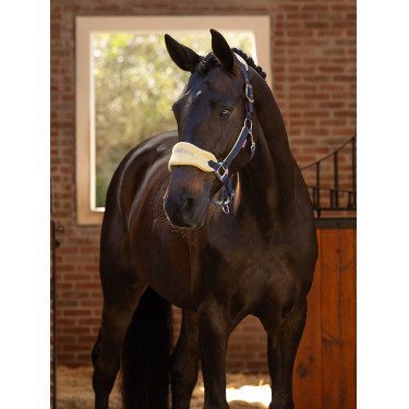 Cabezada de cuadra Lemieux Vogue Cabezada de cuadra Lemieux Vogue