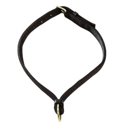Collar para caballos Apollo