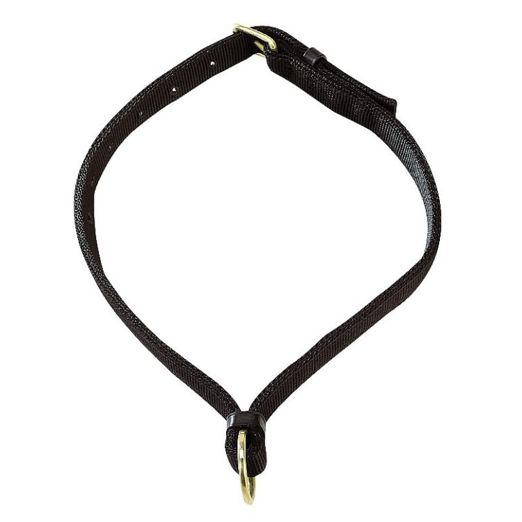Collar para caballos Apollo