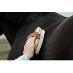Cepillo suave con cerdas suaves pequeño Grooming Deluxe