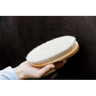 Cepillo suave con cerdas suaves pequeño Grooming Deluxe Cepillo suave con cerdas suaves pequeño Grooming Deluxe