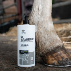 Gel refrescante Ekinat Gel refrescante Ekinat