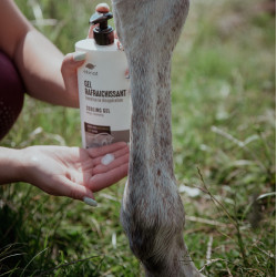 Gel refrescante Ekinat Gel refrescante Ekinat