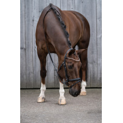 Bridon Kopenhagen HKM Negro